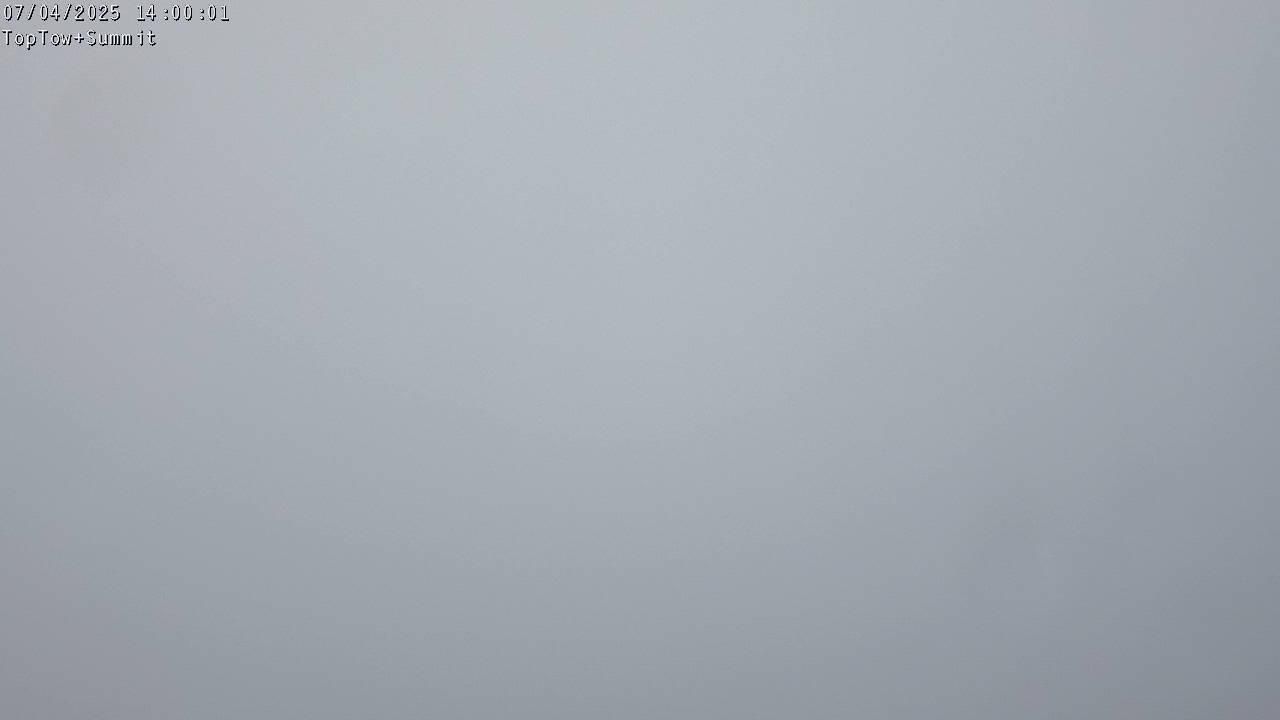 Top Tow, fixed zoom lens camera