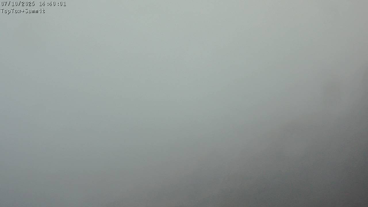 Top Tow, fixed zoom lens camera
