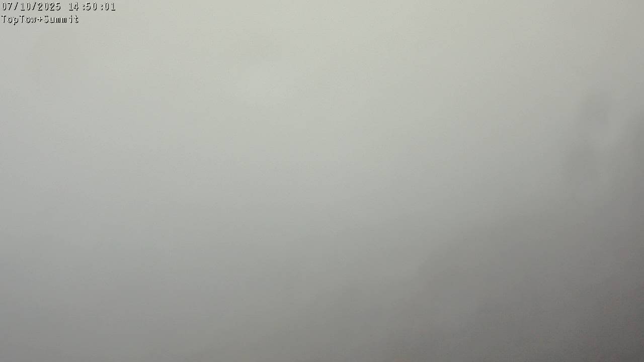 Top Tow, fixed zoom lens camera