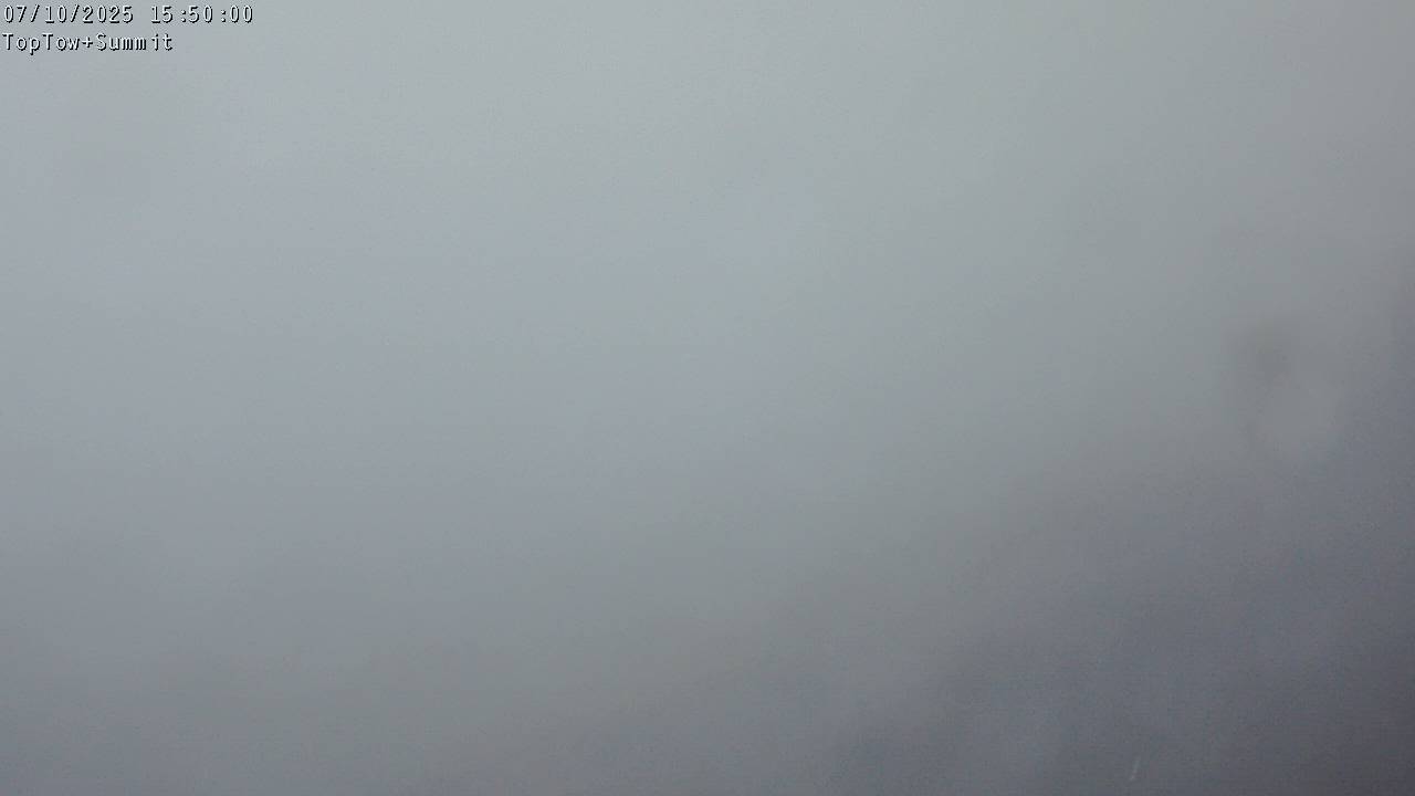 Top Tow, fixed zoom lens camera