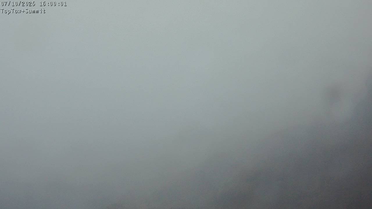 Top Tow, fixed zoom lens camera