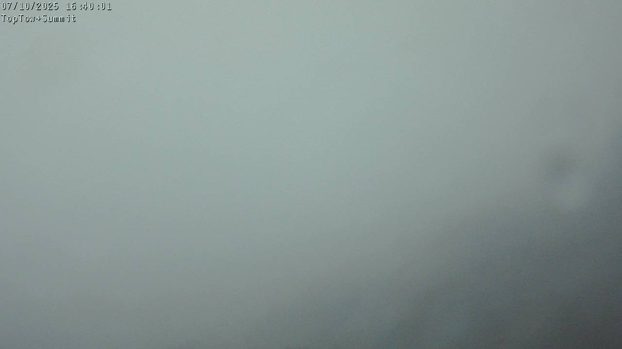Top Tow, fixed zoom lens camera