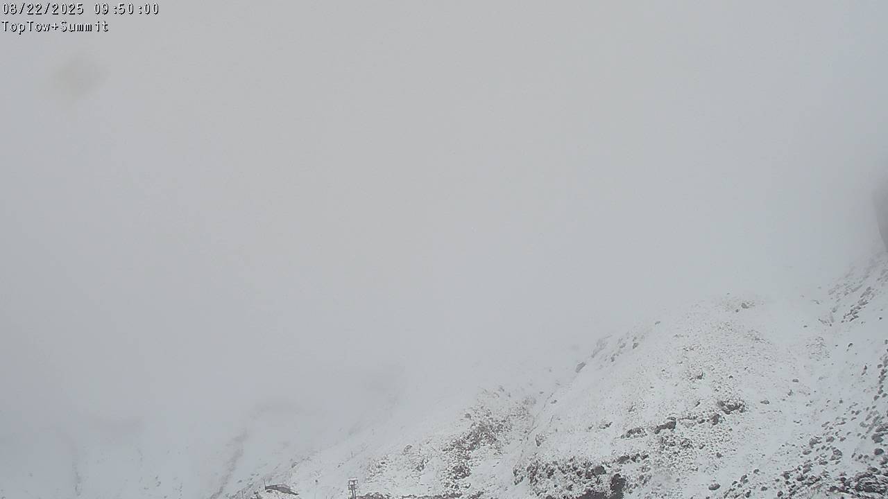 Top Tow, fixed zoom lens camera
