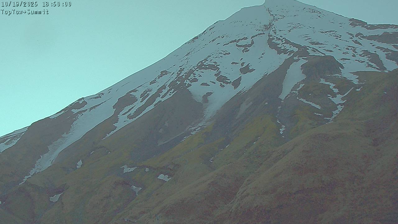 Top Tow, fixed zoom lens camera