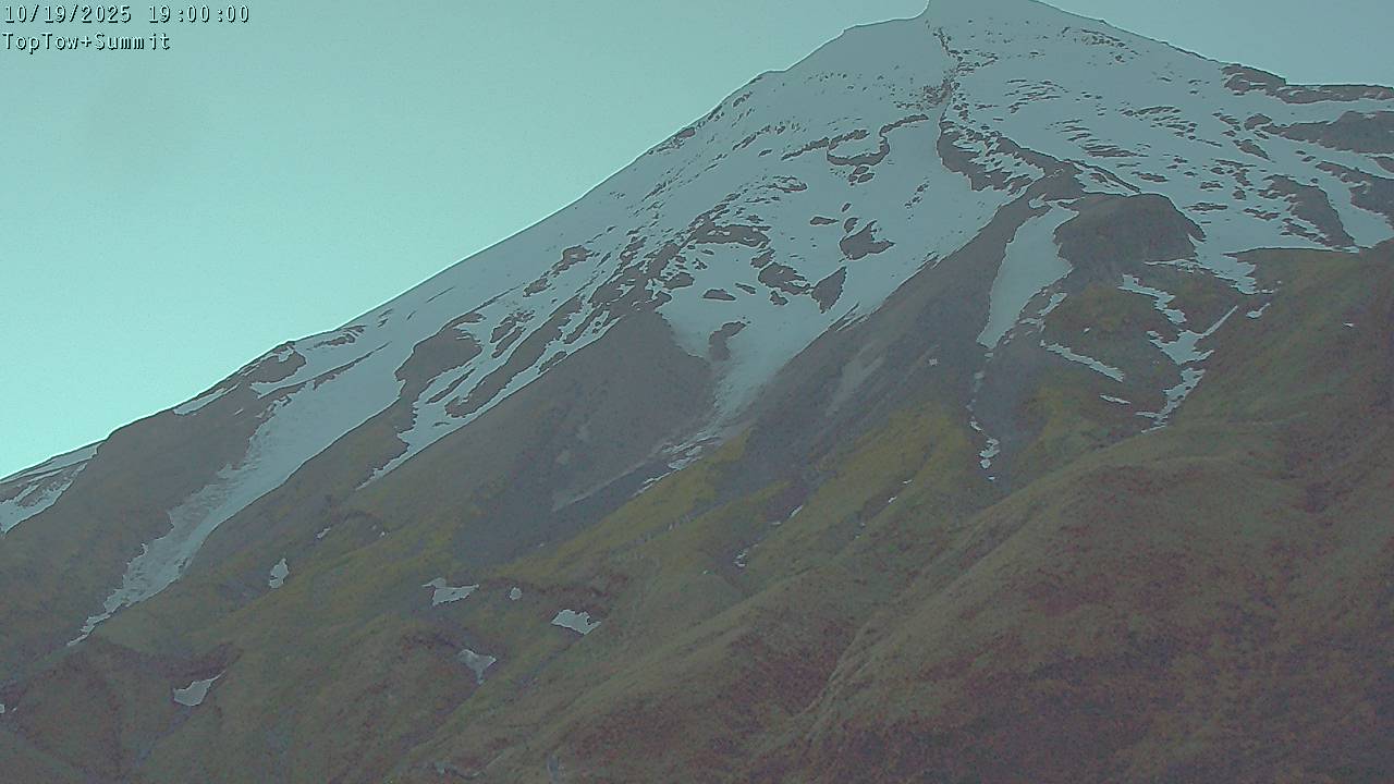 Top Tow, fixed zoom lens camera