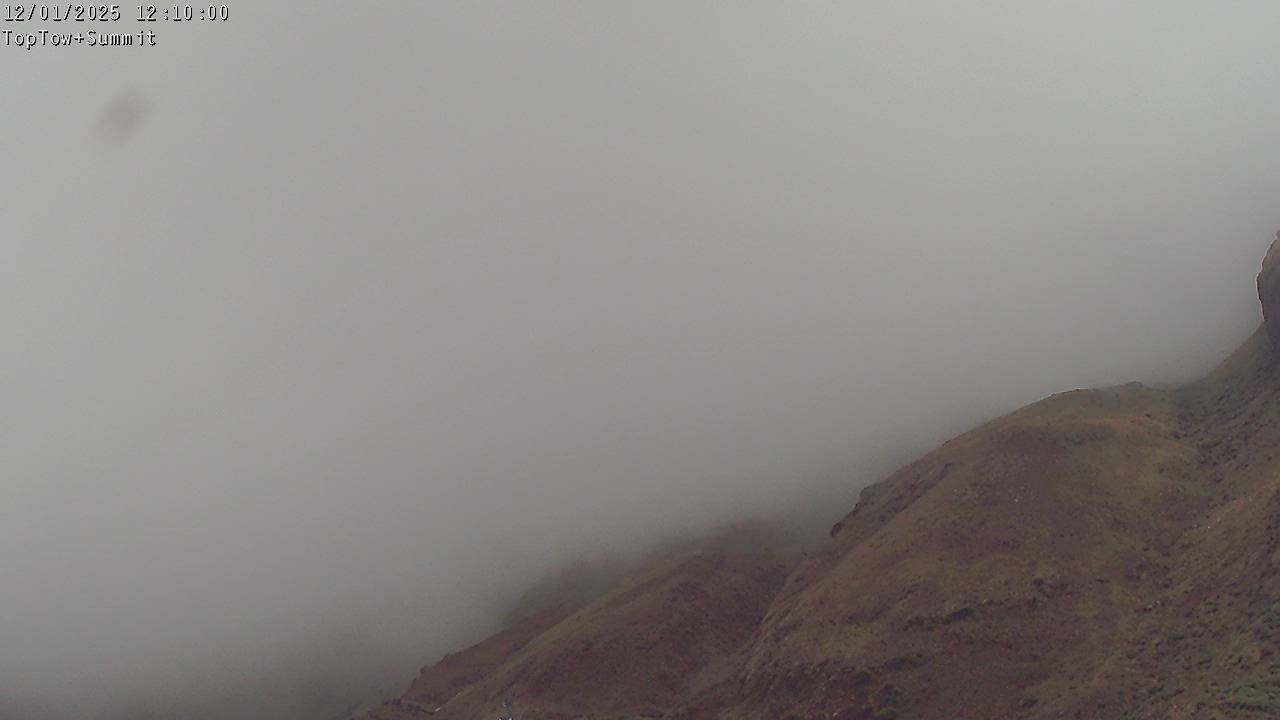 Top Tow, fixed zoom lens camera