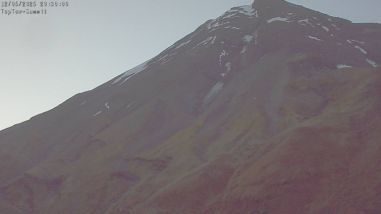 Top Tow, fixed zoom lens camera