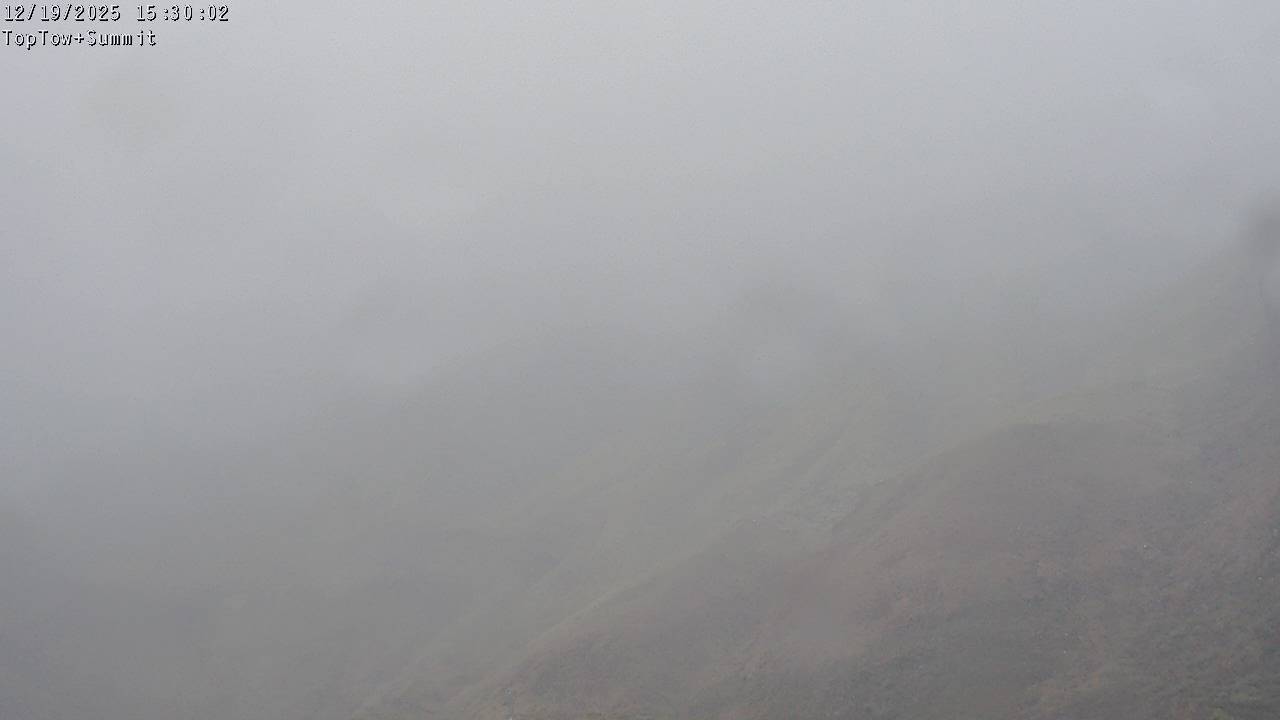 Top Tow, fixed zoom lens camera