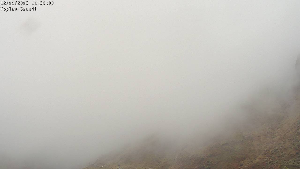 Top Tow, fixed zoom lens camera