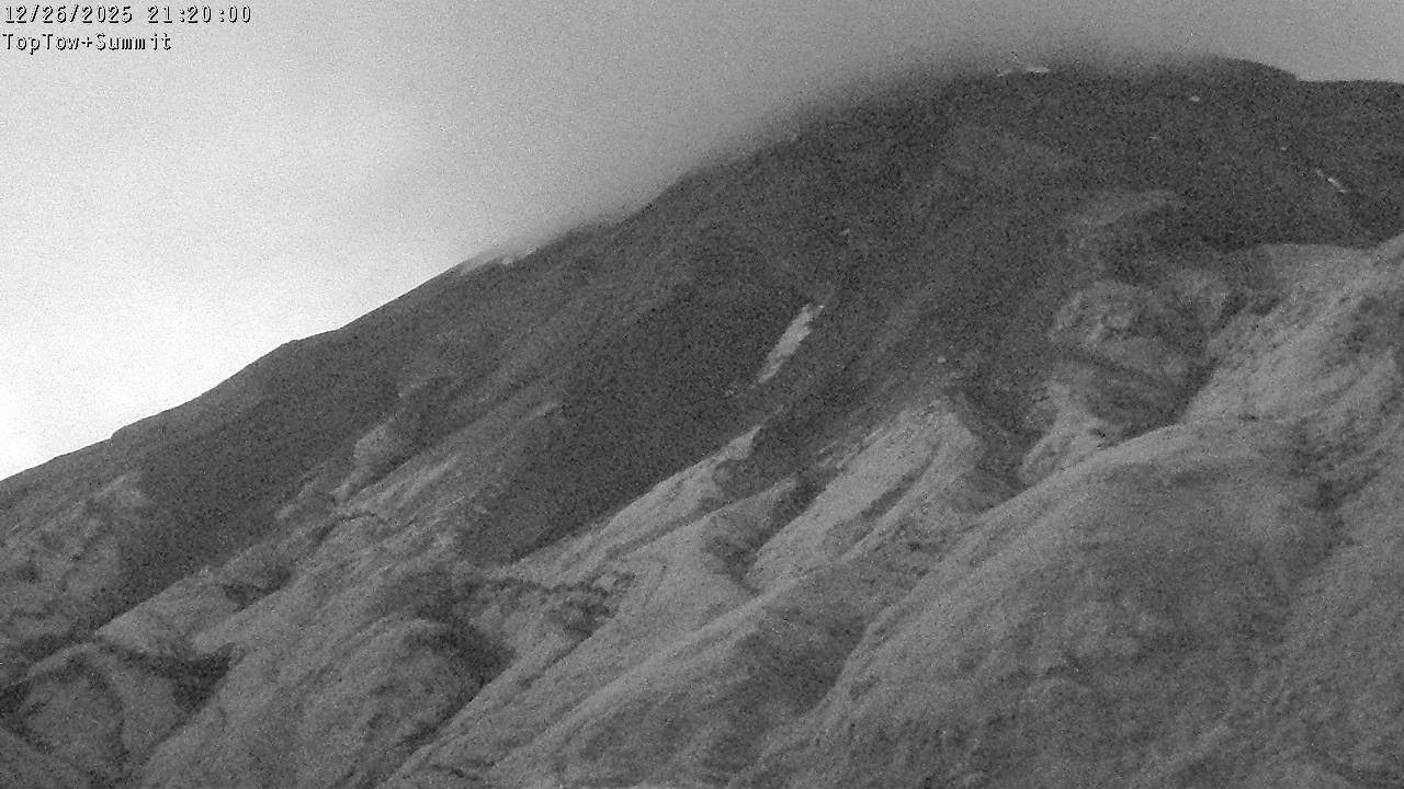 Top Tow, fixed zoom lens camera