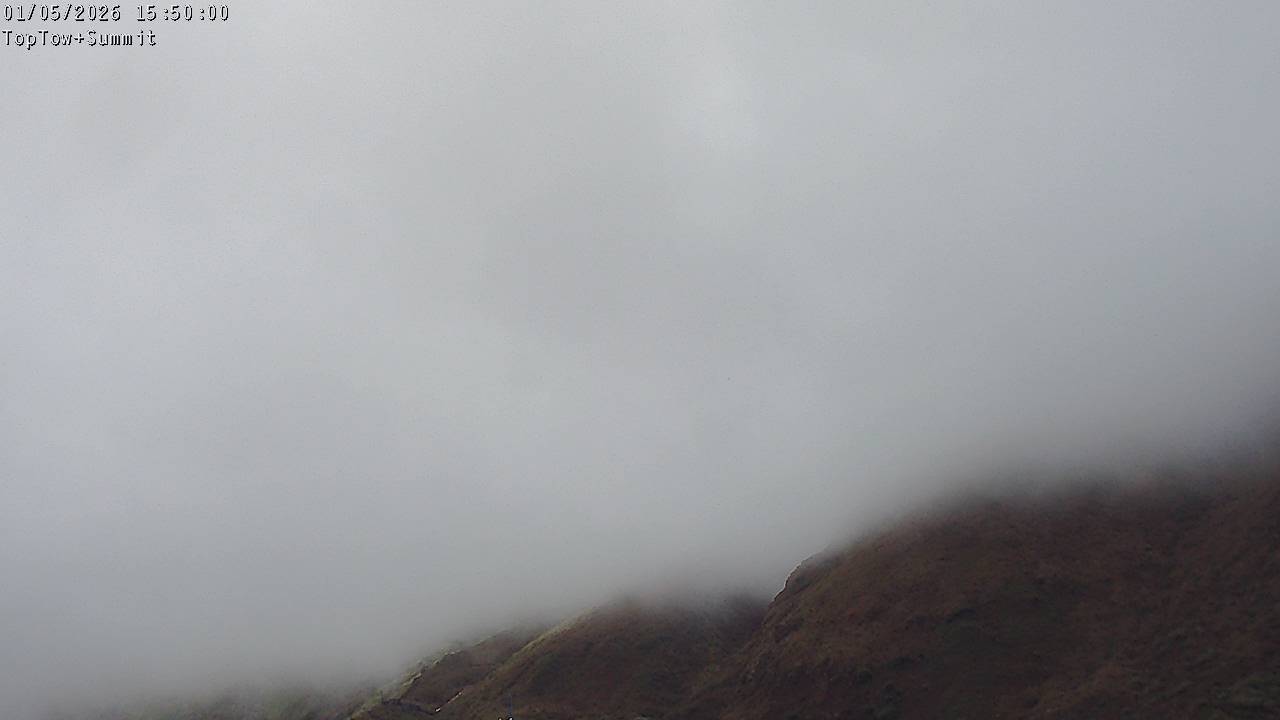 Top Tow, fixed zoom lens camera