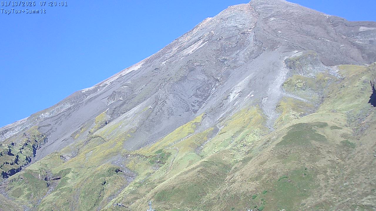 Top Tow, fixed zoom lens camera