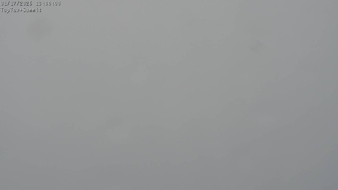 Top Tow, fixed zoom lens camera