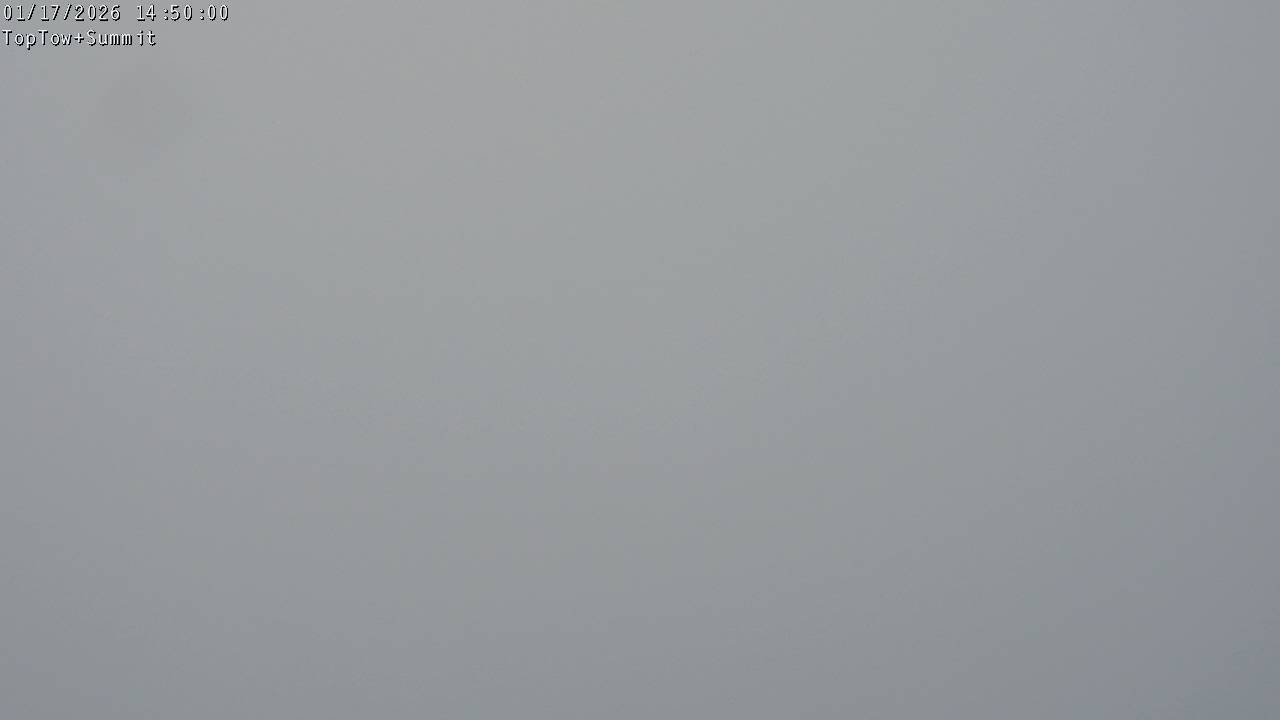 Top Tow, fixed zoom lens camera