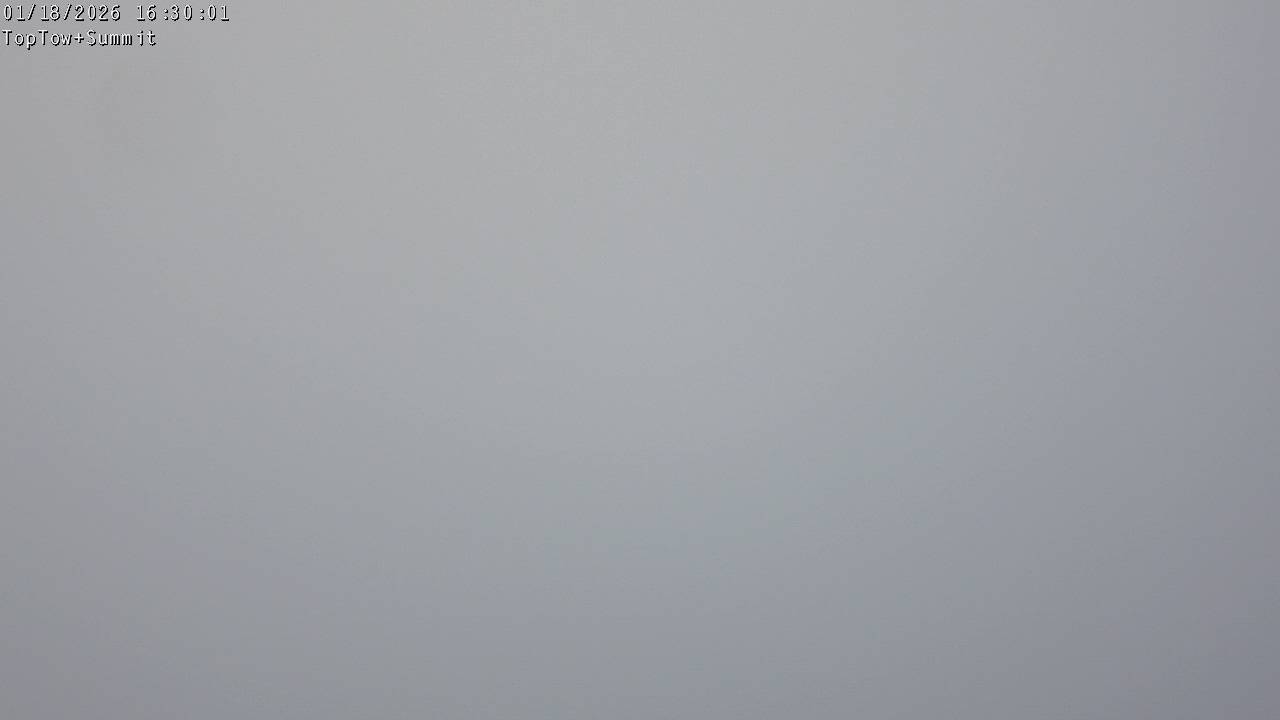 Top Tow, fixed zoom lens camera