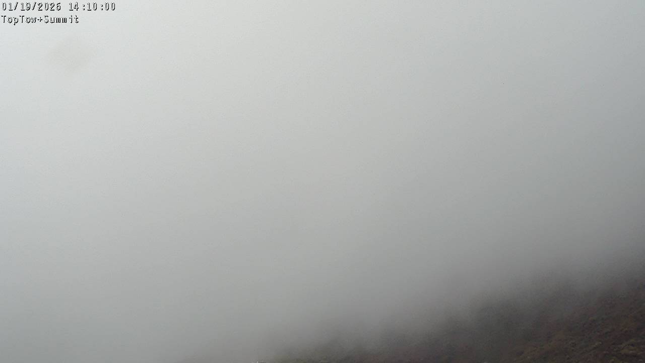 Top Tow, fixed zoom lens camera