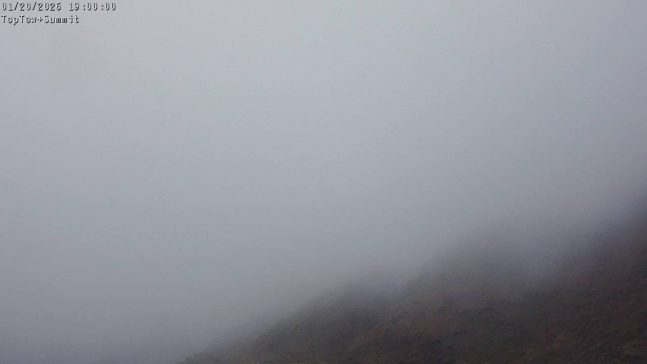 Top Tow, fixed zoom lens camera