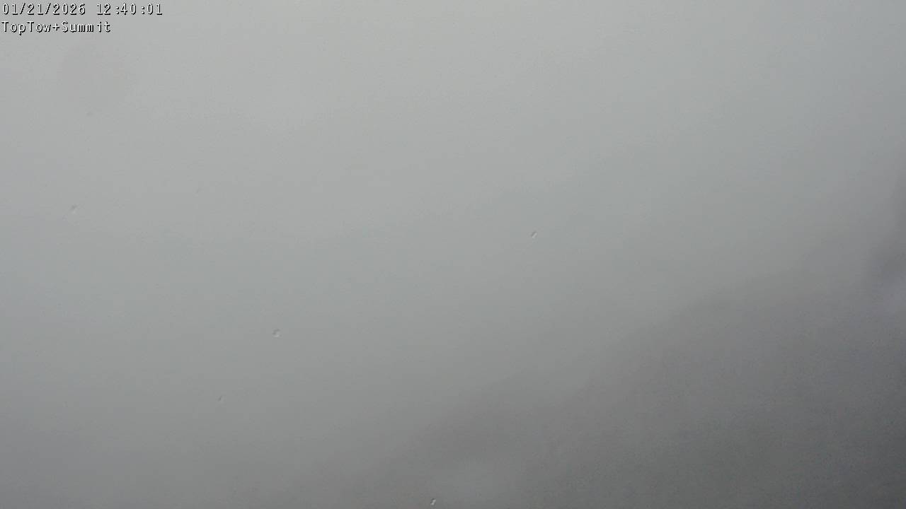 Top Tow, fixed zoom lens camera