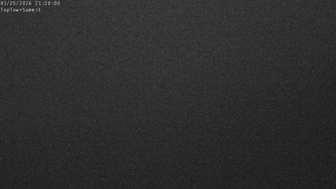 Top Tow, fixed zoom lens camera