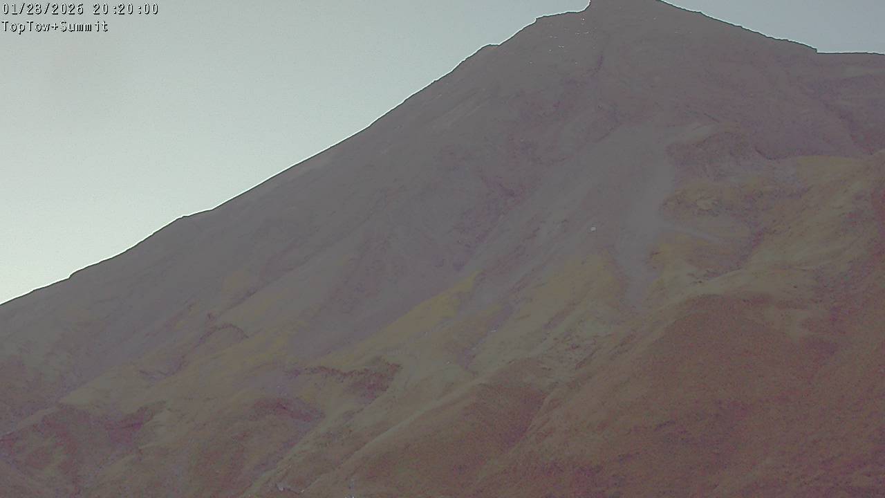 Top Tow, fixed zoom lens camera