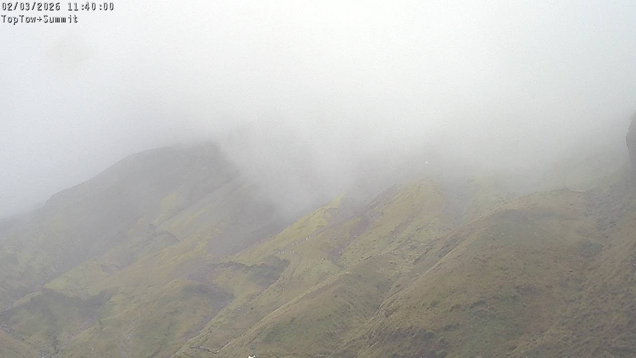 Top Tow, fixed zoom lens camera