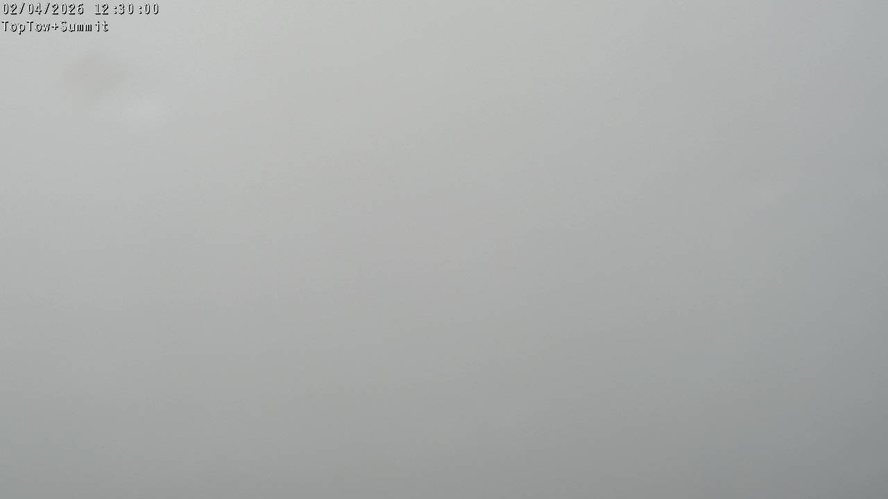 Top Tow, fixed zoom lens camera