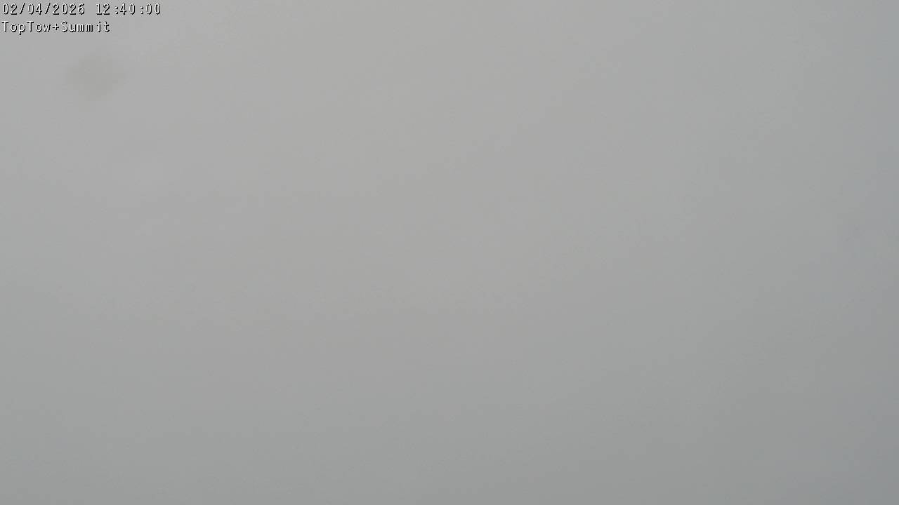 Top Tow, fixed zoom lens camera