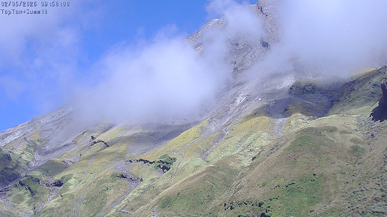 Top Tow, fixed zoom lens camera