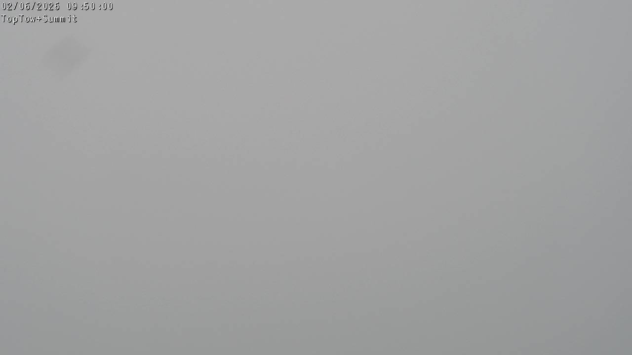 Top Tow, fixed zoom lens camera