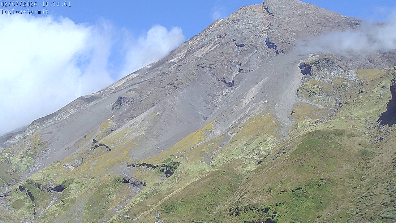 Top Tow, fixed zoom lens camera