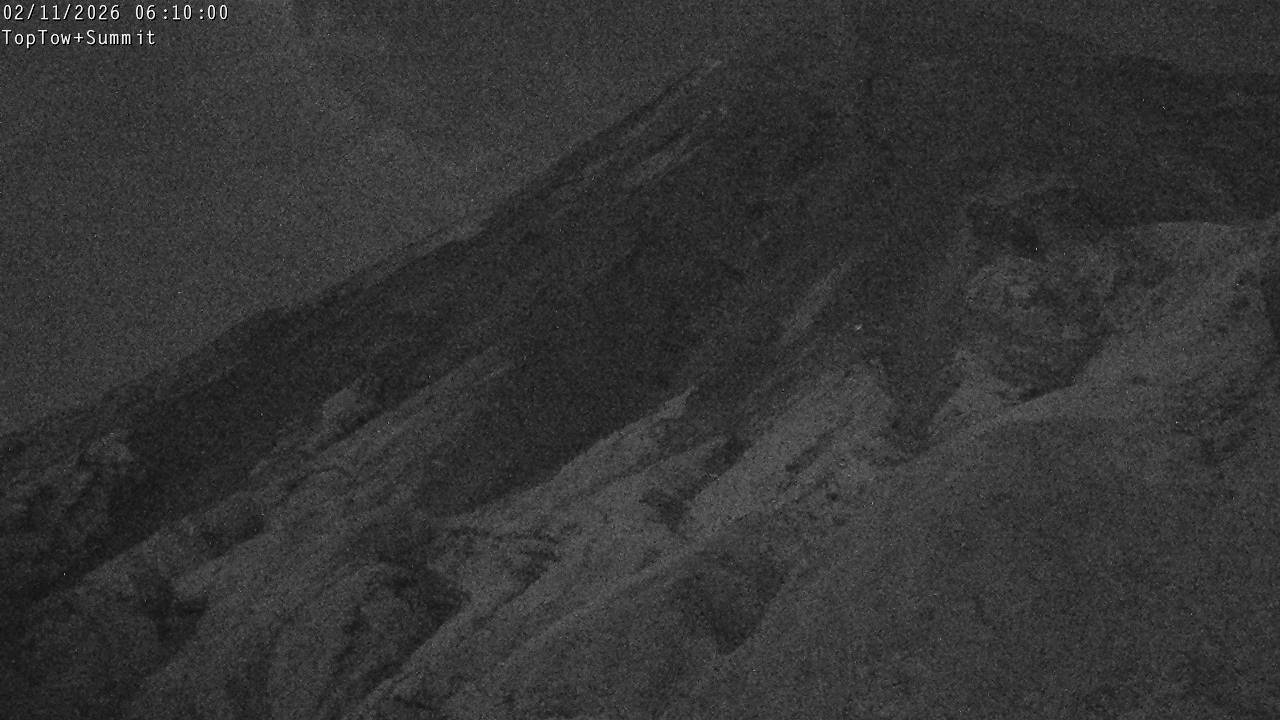 Top Tow, fixed zoom lens camera