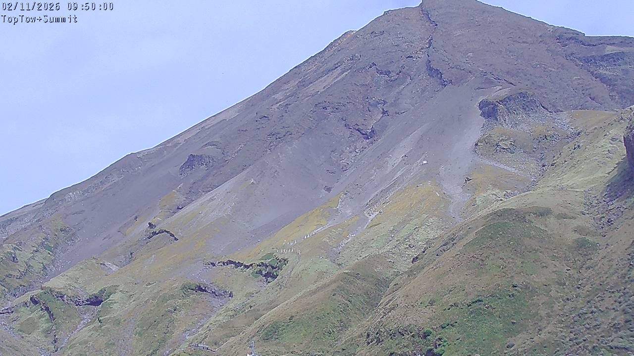 Top Tow, fixed zoom lens camera