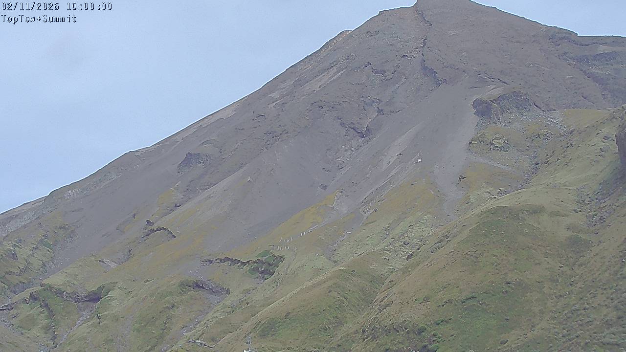 Top Tow, fixed zoom lens camera