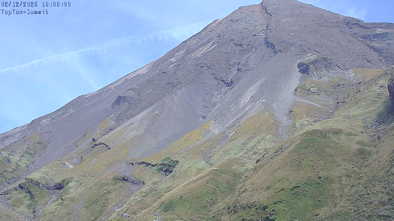 Top Tow, fixed zoom lens camera