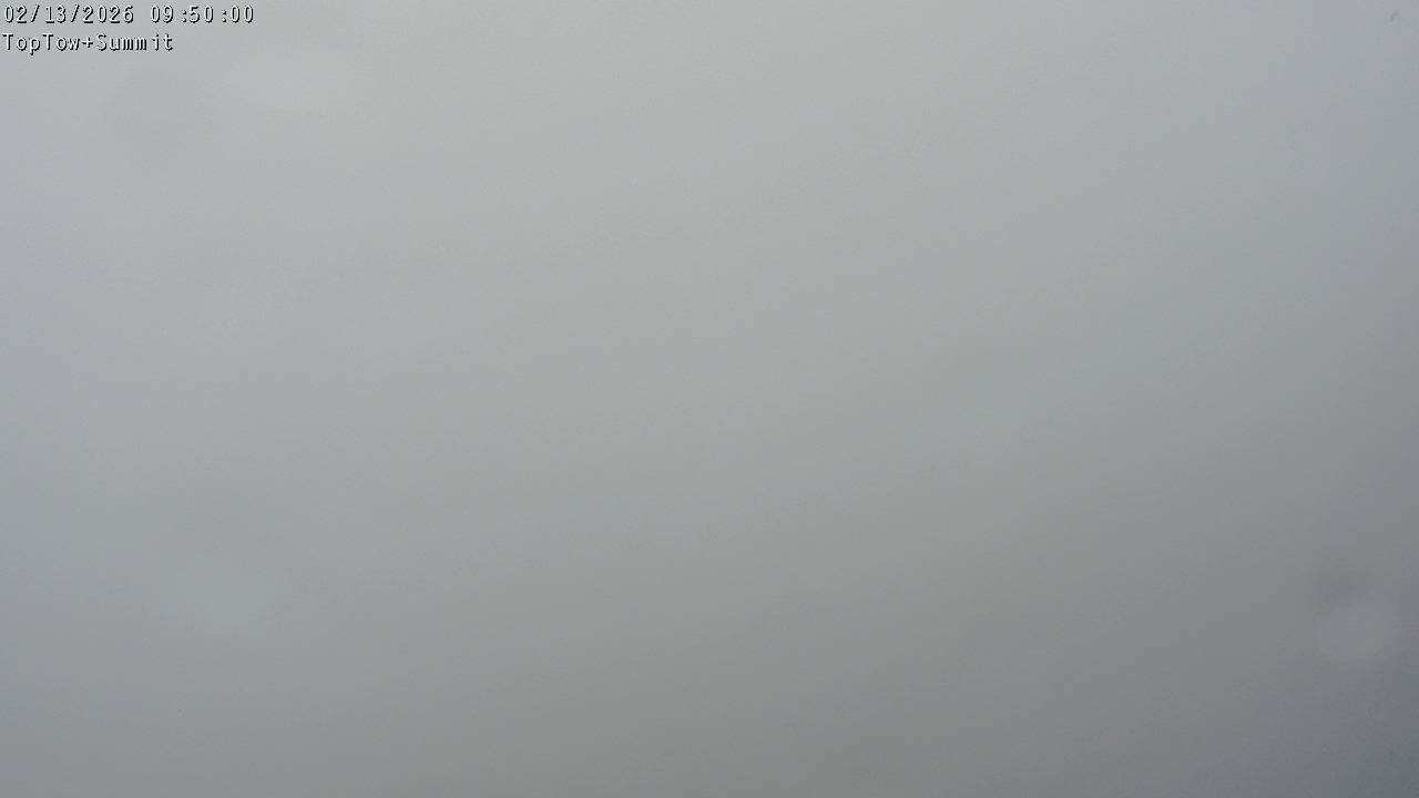 Top Tow, fixed zoom lens camera