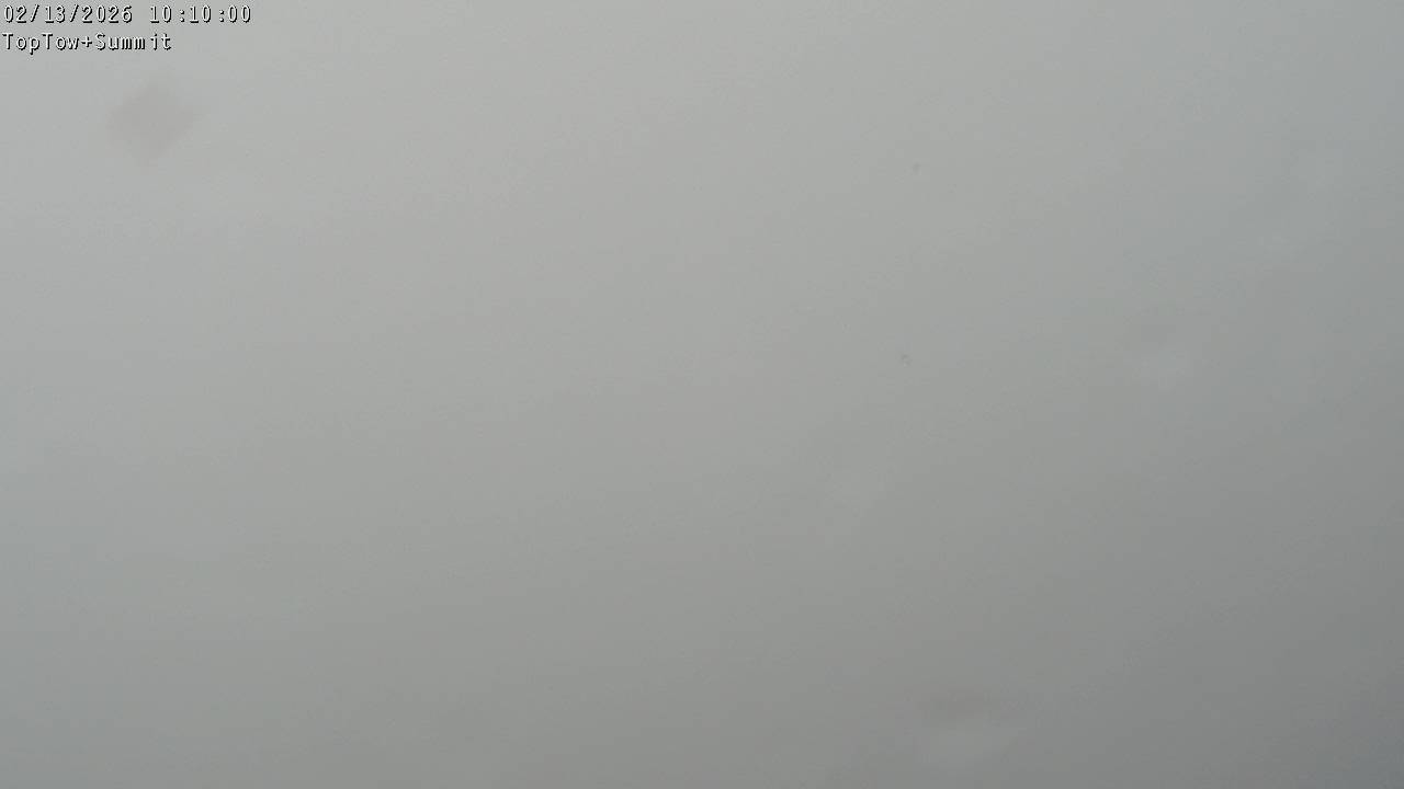 Top Tow, fixed zoom lens camera