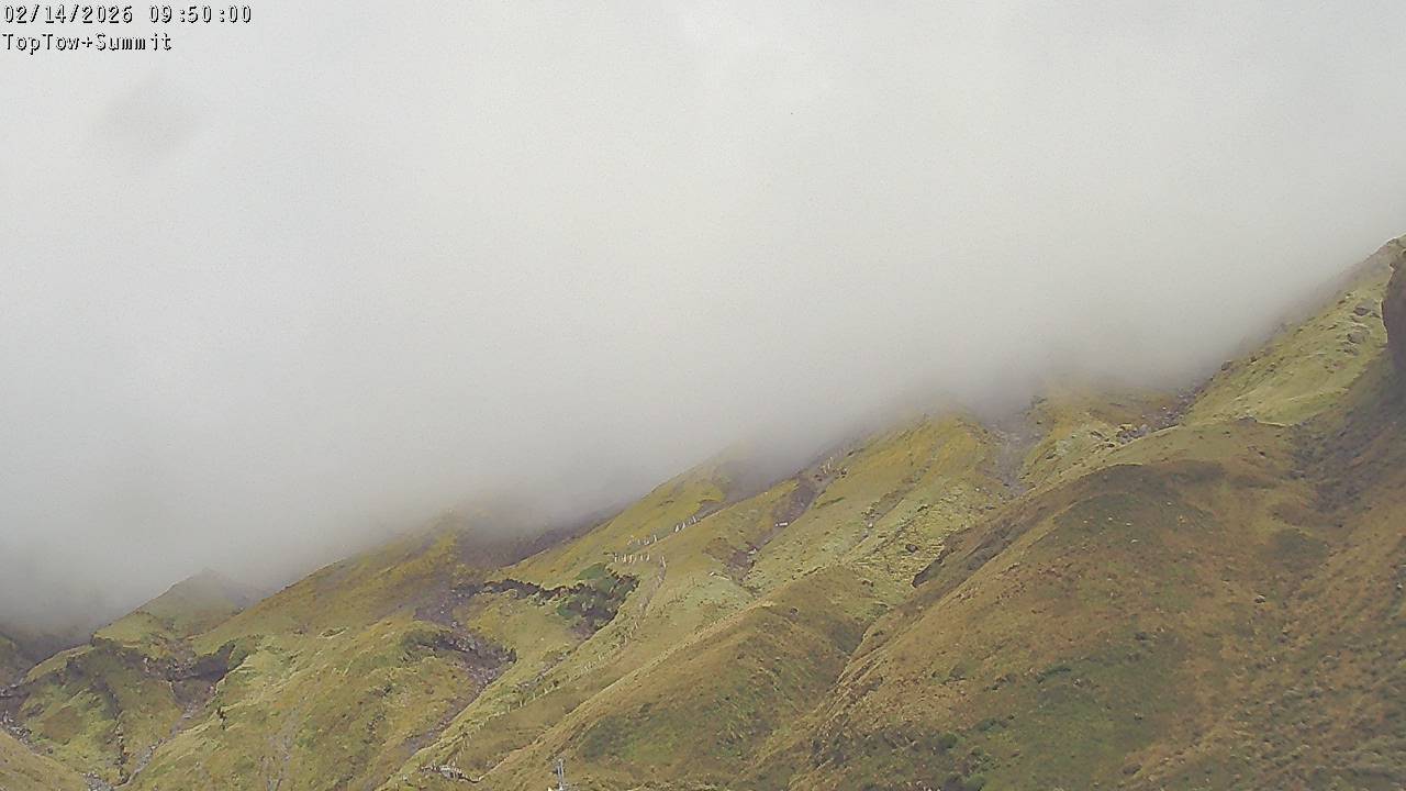 Top Tow, fixed zoom lens camera