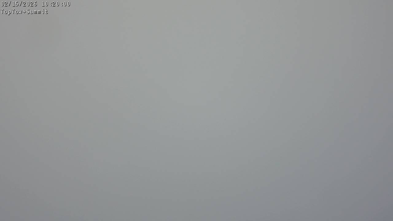 Top Tow, fixed zoom lens camera