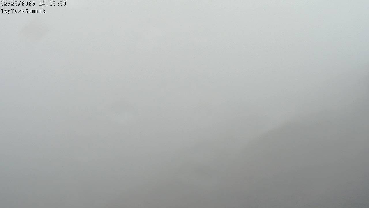 Top Tow, fixed zoom lens camera