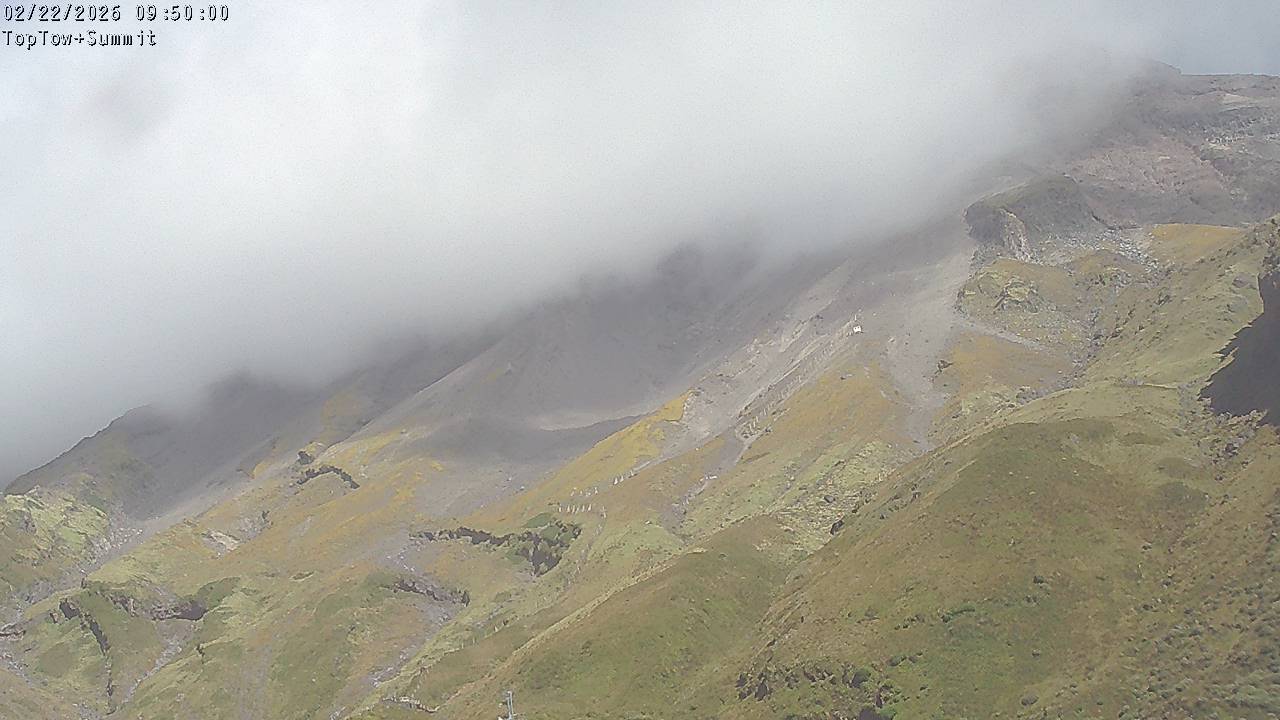 Top Tow, fixed zoom lens camera