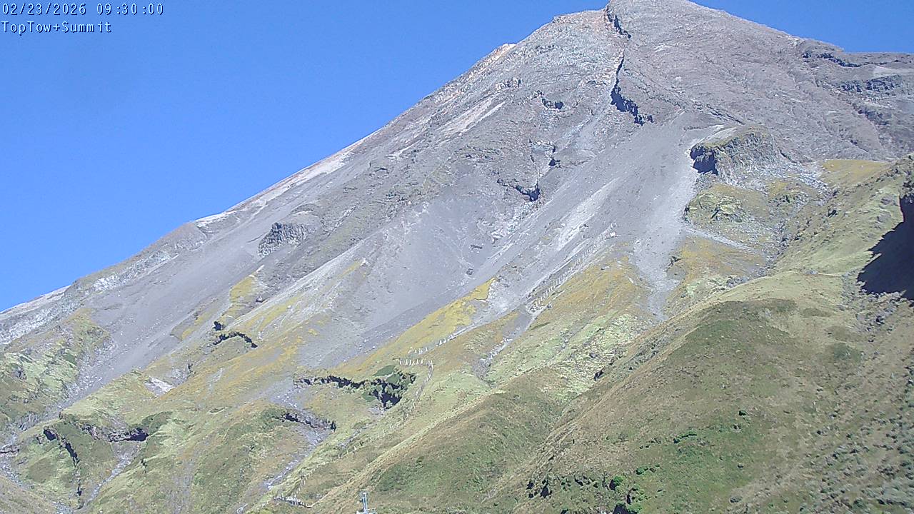 Top Tow, fixed zoom lens camera