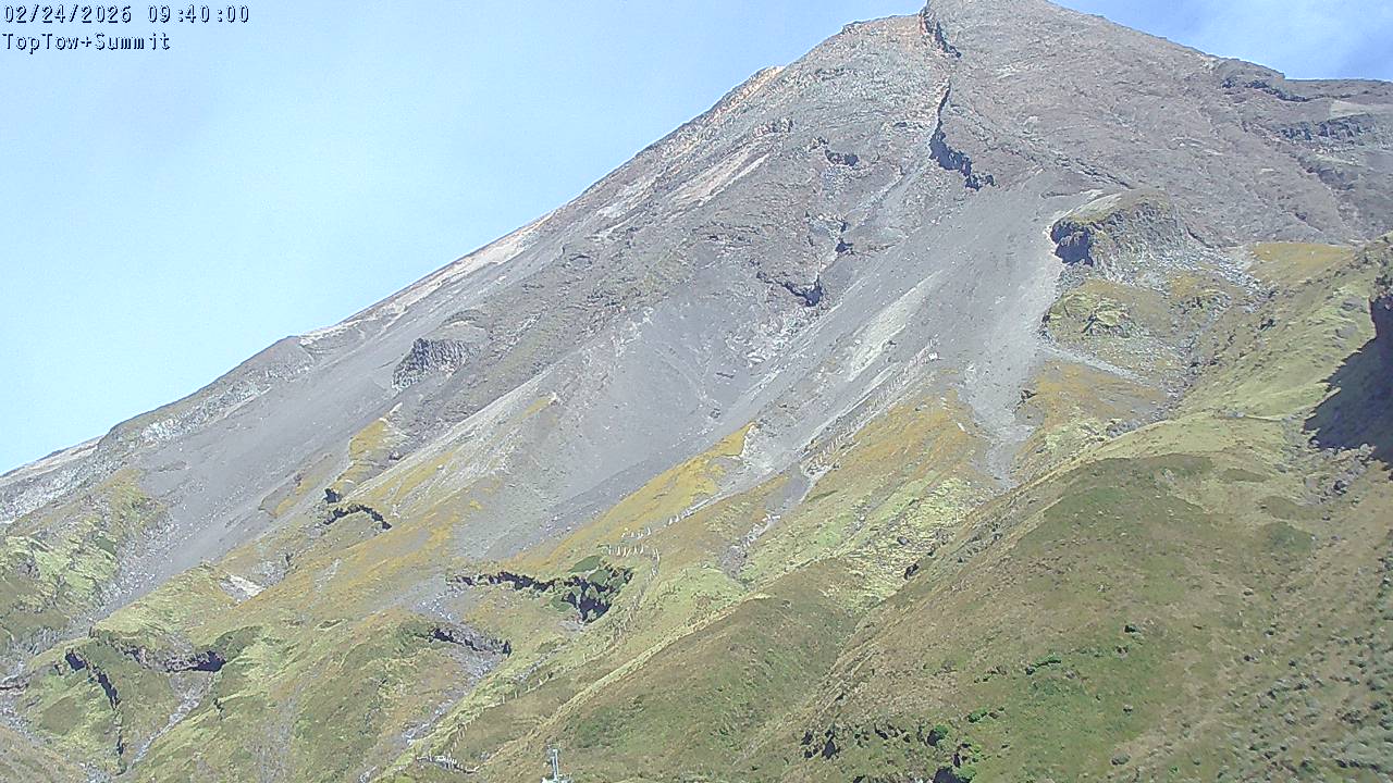 Top Tow, fixed zoom lens camera