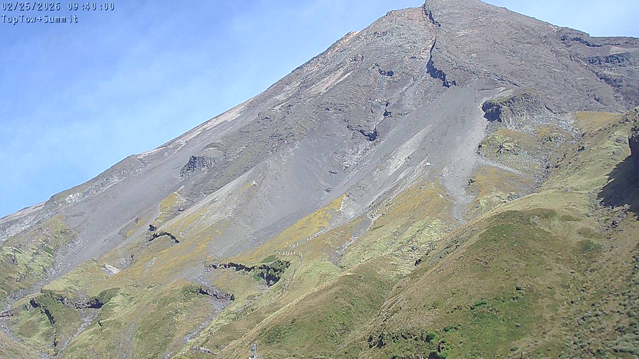 Top Tow, fixed zoom lens camera