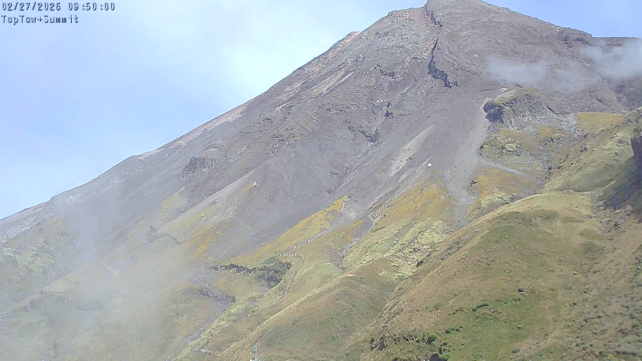 Top Tow, fixed zoom lens camera