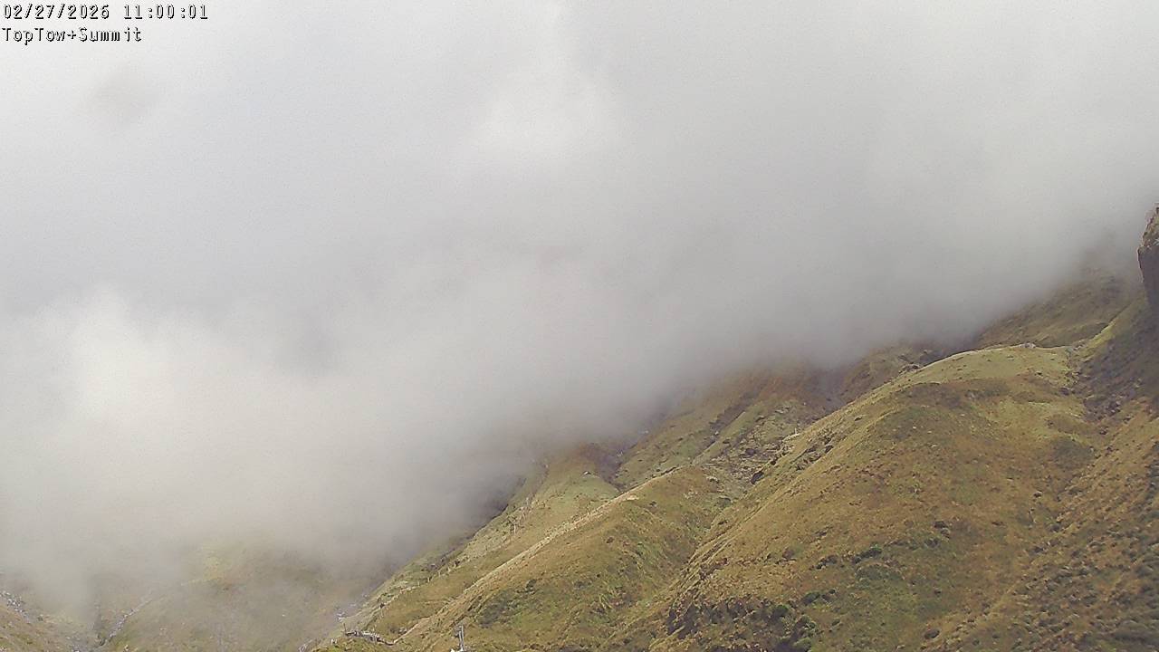 Top Tow, fixed zoom lens camera