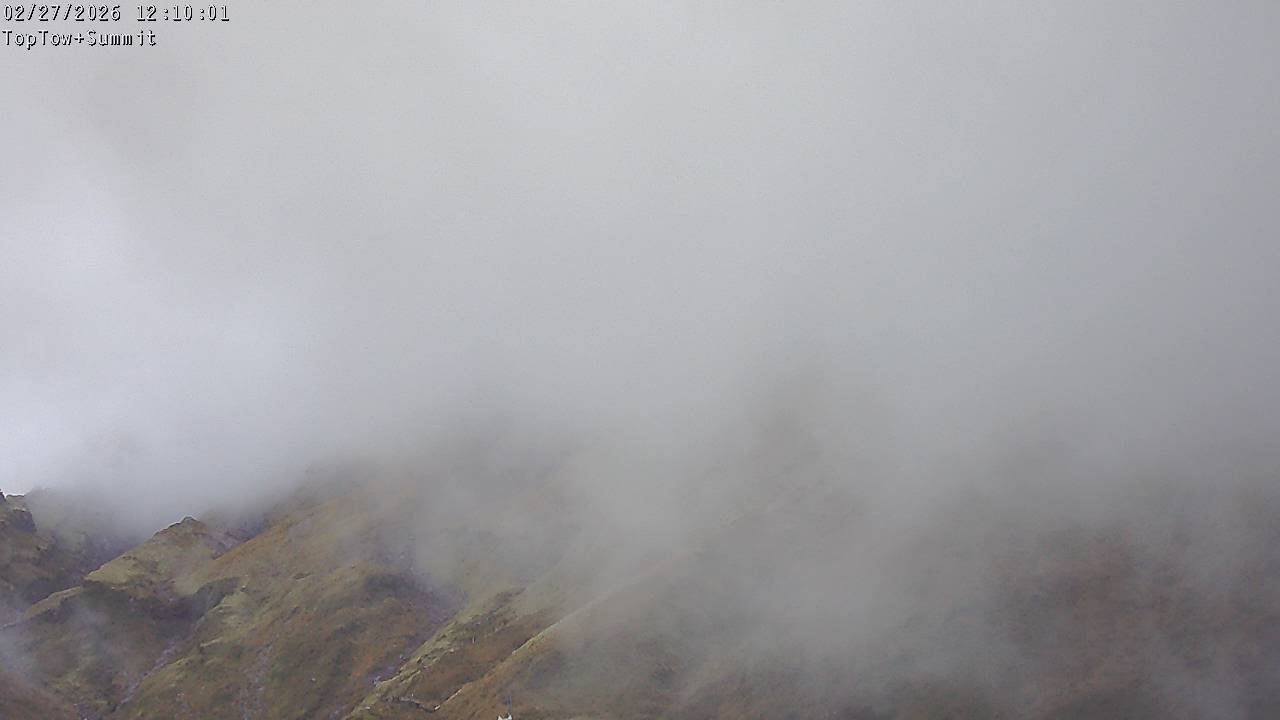 Top Tow, fixed zoom lens camera