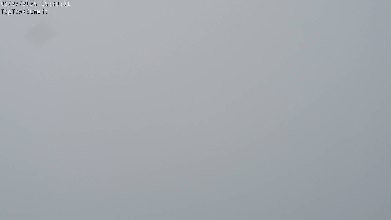 Top Tow, fixed zoom lens camera