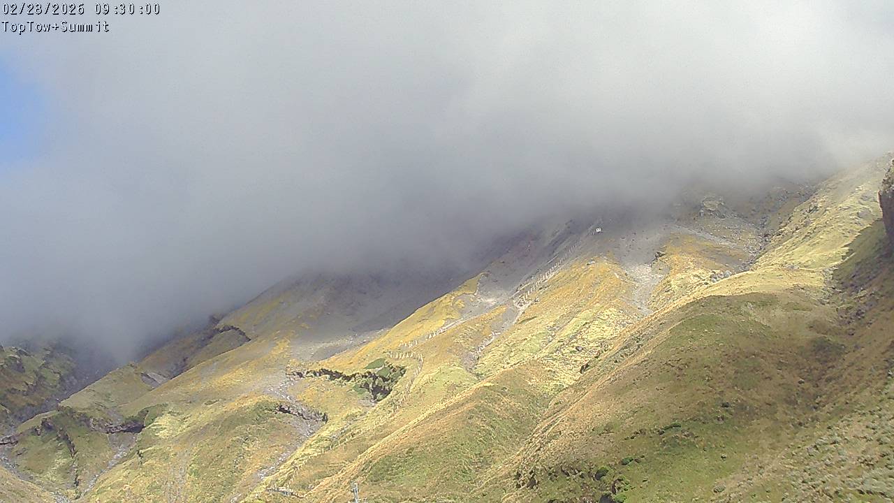 Top Tow, fixed zoom lens camera