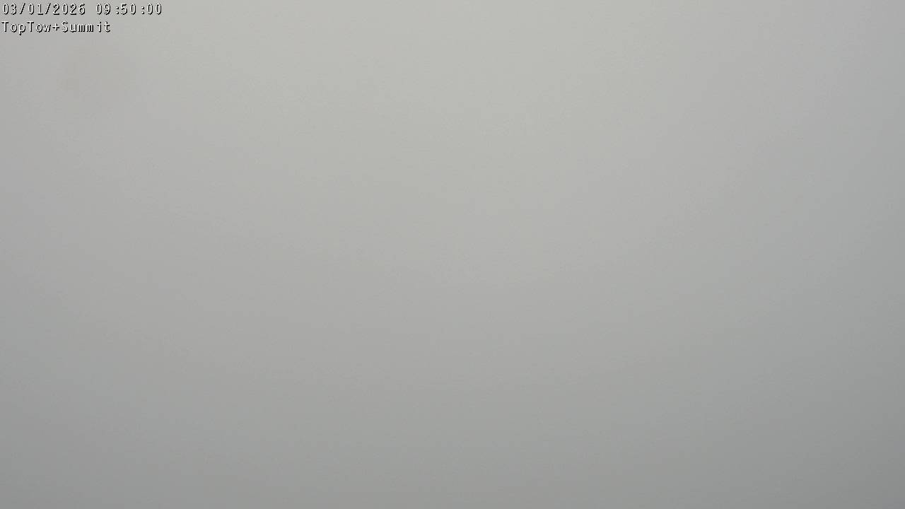 Top Tow, fixed zoom lens camera