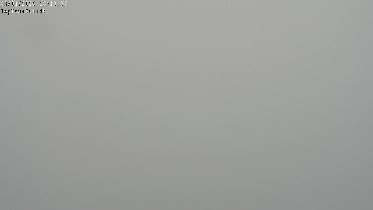 Top Tow, fixed zoom lens camera